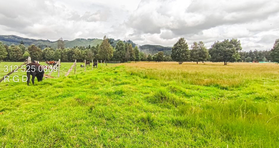 Lote en venta en Verganzo, Tocancipá, 57000 m² · foto 4 de 20