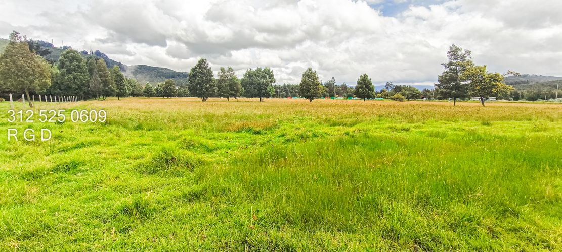 Lote en venta en Verganzo, Tocancipá, 57000 m² · foto 6 de 20