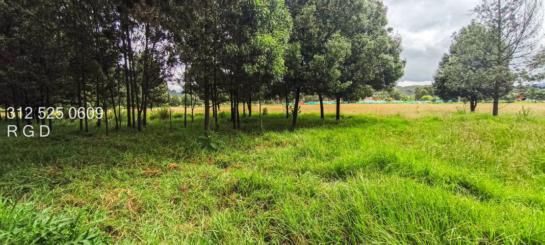 Lote en venta en Verganzo, Tocancipá, 57000 m² · foto 15 de 20
