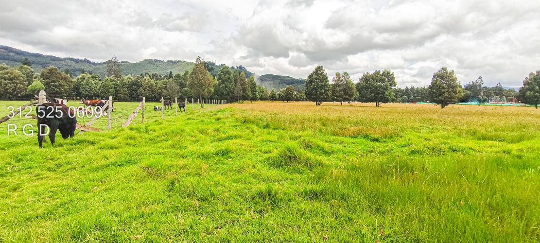 Lote en venta en Verganzo, Tocancipá, 57000 m² · foto 16 de 20