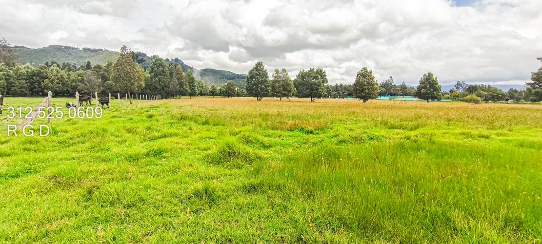 Lote en venta en Verganzo, Tocancipá, 57000 m² · foto 17 de 20