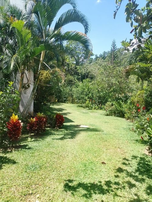 Finca en venta en Campo Verde, Piedecuesta, 550 m² · foto 12 de 17