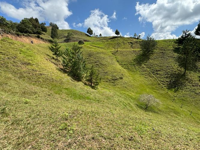 Lote en venta en Pantanillo, El Retiro, 9000 m² · foto 4 de 7