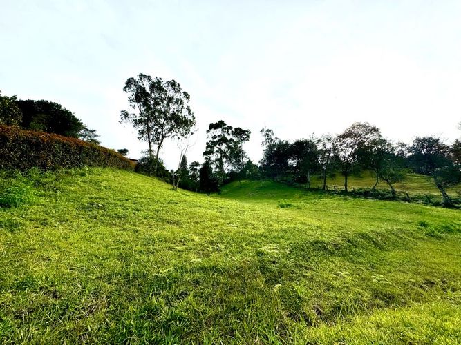 Lote en venta en Santa Ana, Rionegro, 3300 m² · foto 4 de 4