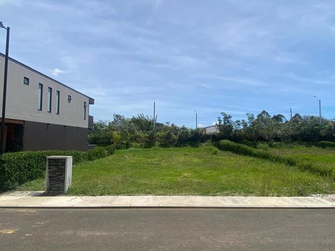 Lote en venta en Llano Grande, Rionegro, 337 m² · foto 7 de 8