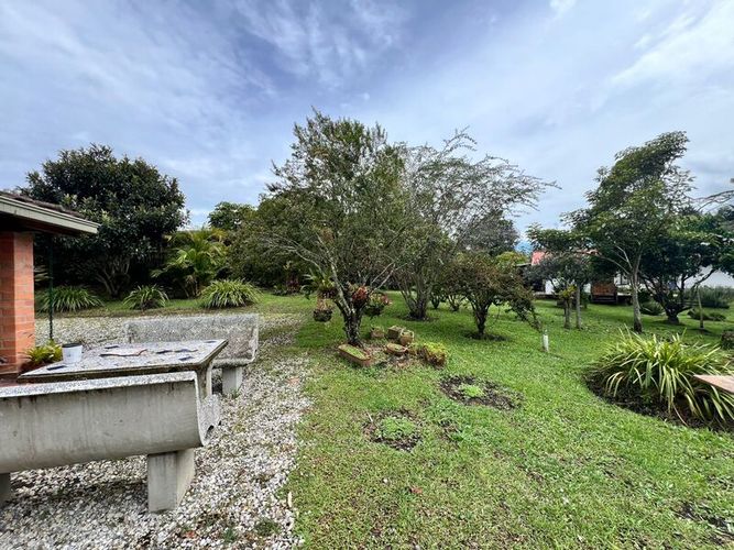 Finca en venta en El Tambo, La Ceja, 250 m² · foto 17 de 22