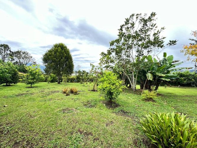 Finca en venta en El Tambo, La Ceja, 250 m² · foto 21 de 22