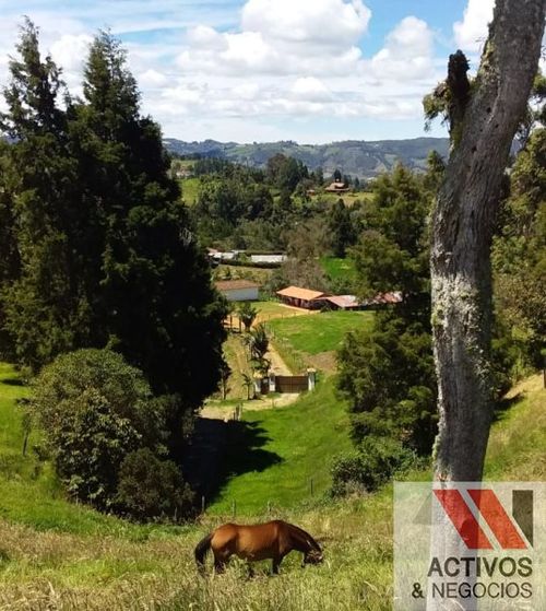 Finca en venta en Santa Elena, Medellín, 11 m² · foto 3 de 14