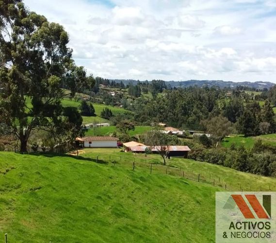 Finca en venta en El Salado, Guarne, 47360 m² · foto 4 de 11