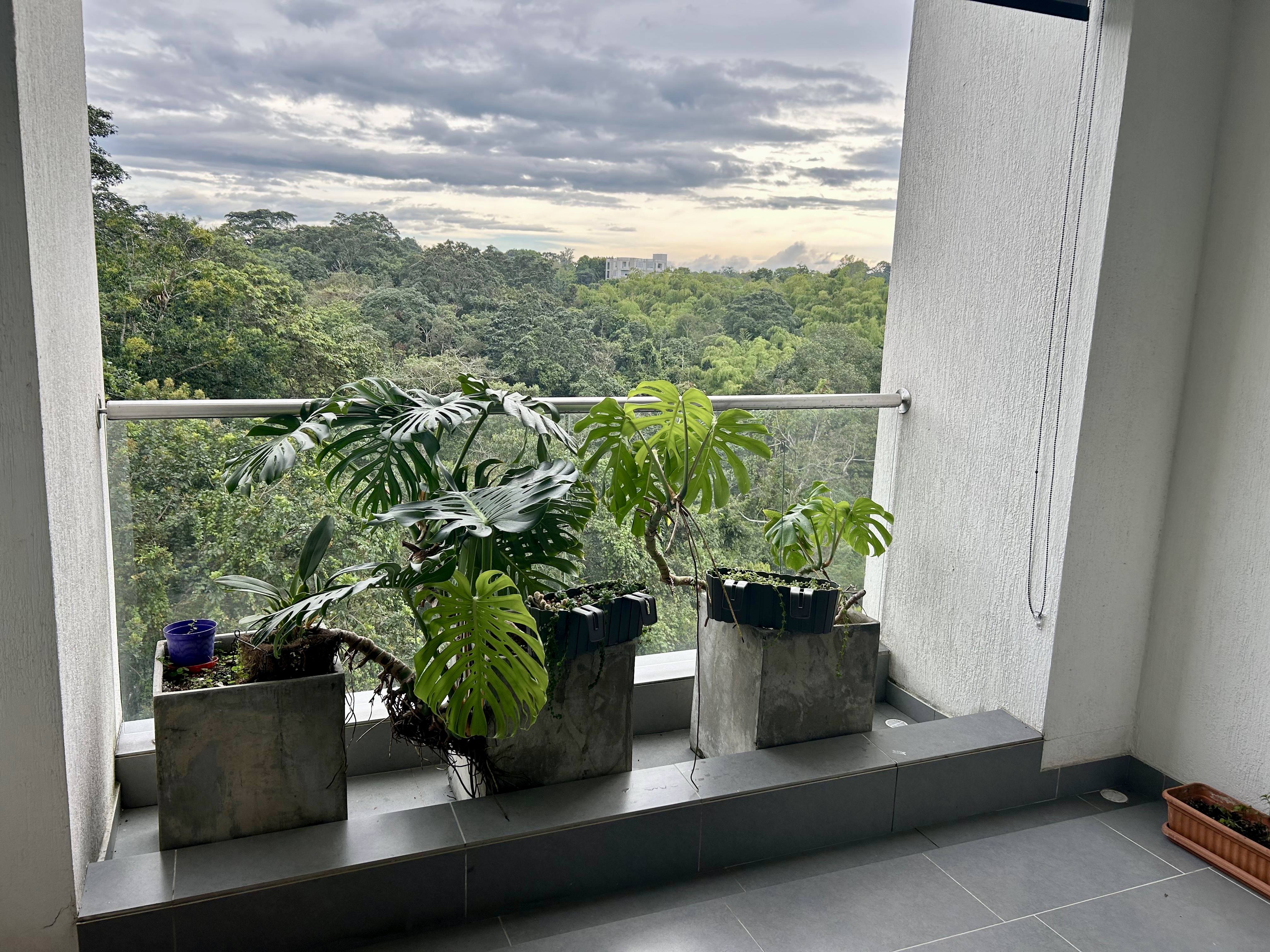 Apartamento en venta en Pinares, Pereira · foto 6 de 15