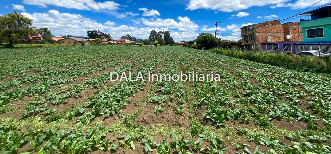 Lote en venta en La Balsa, Chía, 9201 m² · foto 2 de 8