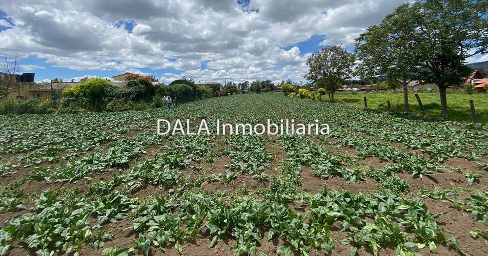 Lote en venta en La Balsa, Chía, 9201 m² · foto 4 de 8