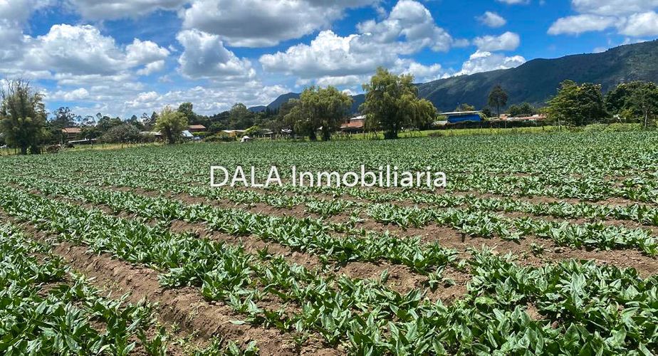 Lote en venta en La Balsa, Chía, 9201 m² · foto 5 de 8