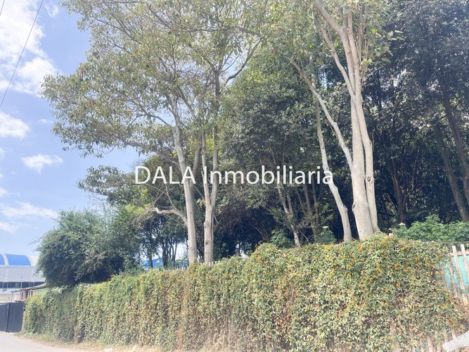 Lote en venta en Samaria, Chía, 3609 m² · foto 4 de 11