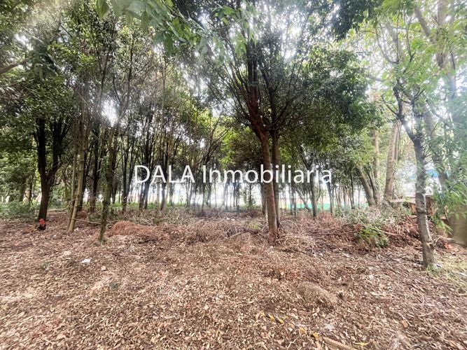 Lote en venta en Samaria, Chía, 3609 m² · foto 5 de 11