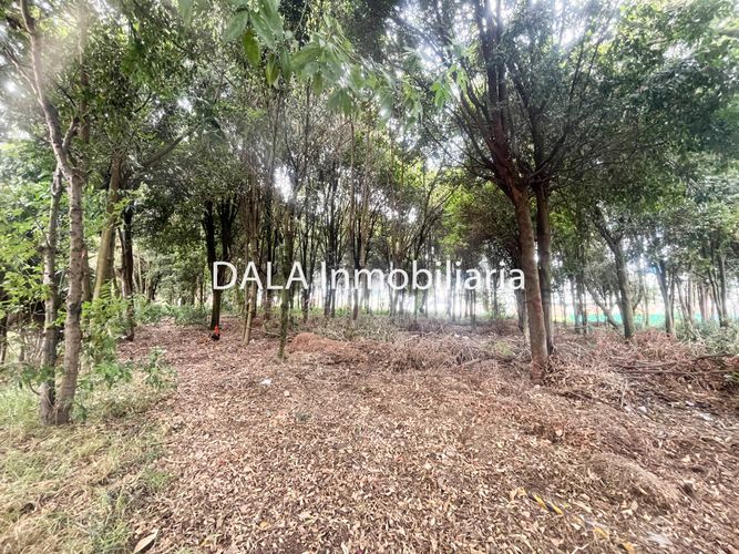 Lote en venta en Samaria, Chía, 3609 m² · foto 7 de 11