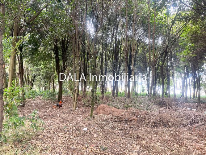 Lote en venta en Samaria, Chía, 3609 m² · foto 9 de 11
