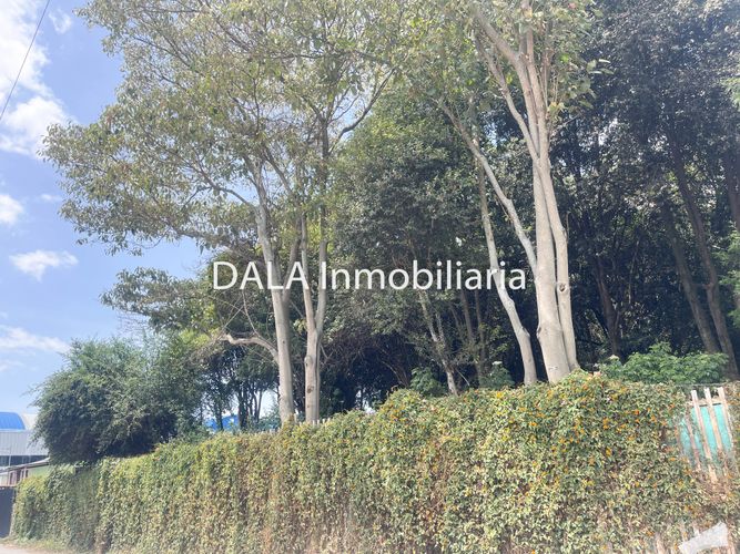 Lote en venta en Samaria, Chía, 3609 m² · foto 10 de 11