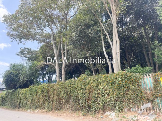 Lote en venta en Samaria, Chía, 3609 m² · foto 11 de 11