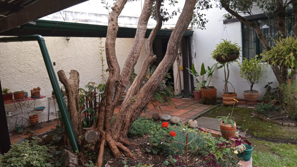 Casa en venta en El Campin, Chía · foto 13 de 20