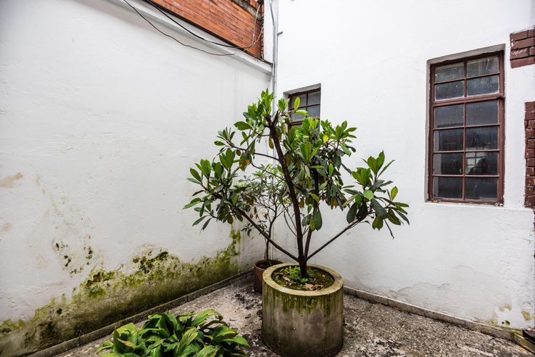 Casa en venta en Sucre, Bogotá · foto 23 de 23