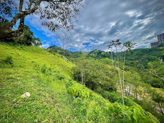 Lote en venta en San Jose, Sabaneta · foto 9 de 13