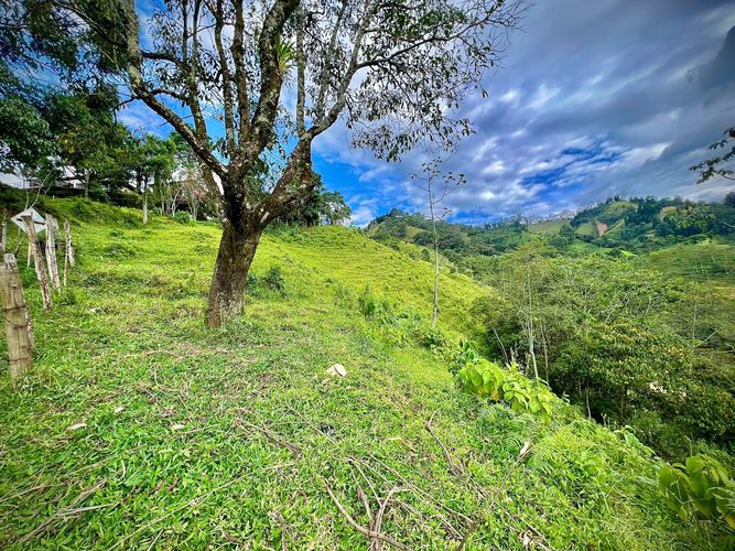 Lote en venta en San Jose, Sabaneta · foto 11 de 13