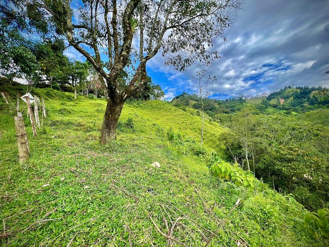 Lote en venta en San Jose, Sabaneta · foto 12 de 13