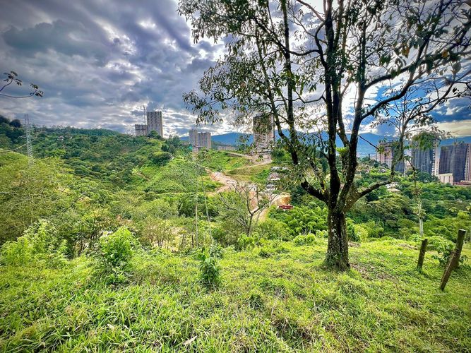 Lote en venta en San Jose, Sabaneta, 1277 m² · foto 18 de 21