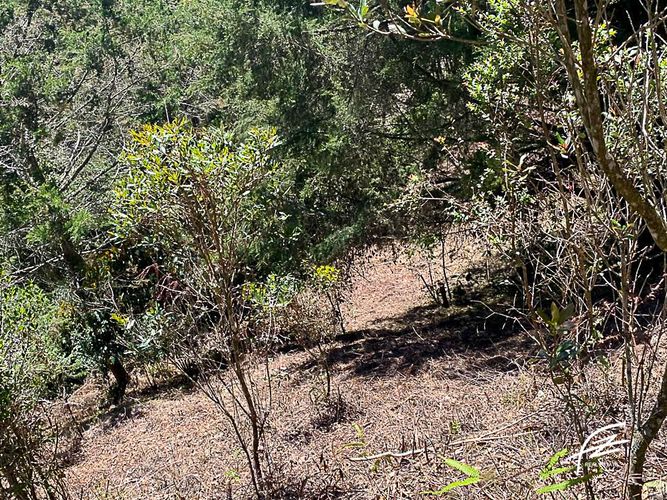 Finca en venta en El Retiro, 180 m² · foto 20 de 24