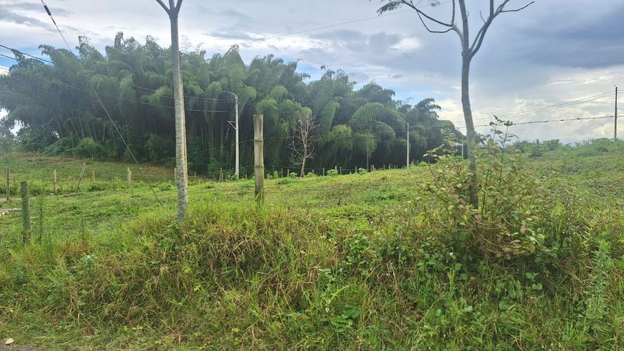 Lote en venta en Condina, Pereira, 1380 m² · foto 2 de 9