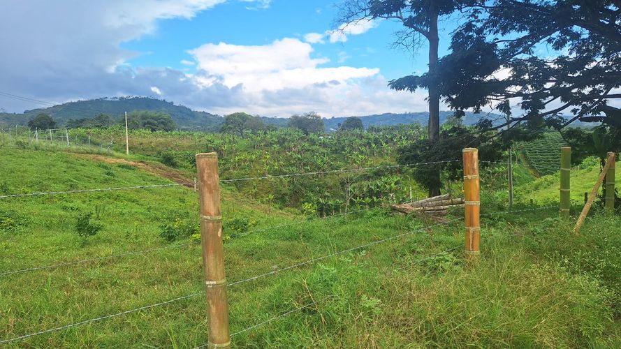 Lote en venta en Condina, Pereira, 1380 m² · foto 4 de 9