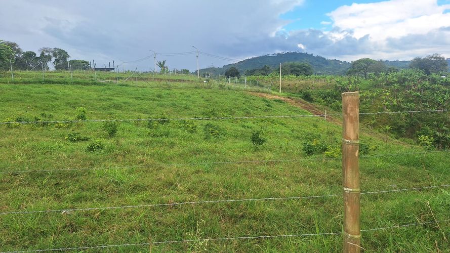 Lote en venta en Condina, Pereira, 1380 m² · foto 5 de 9