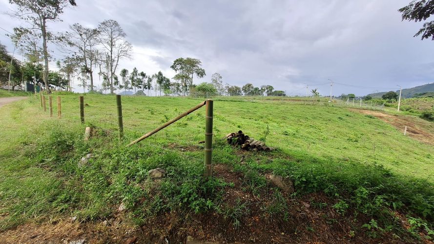 Lote en venta en Condina, Pereira, 1380 m² · foto 7 de 9