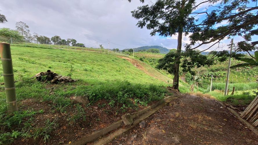 Lote en venta en Condina, Pereira, 1380 m² · foto 8 de 9