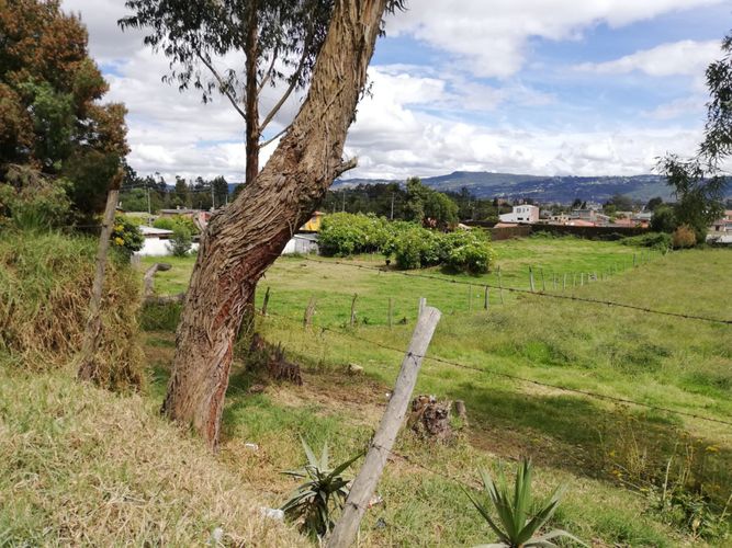 Lote en venta en Fonquetá, Chía · foto 6 de 7