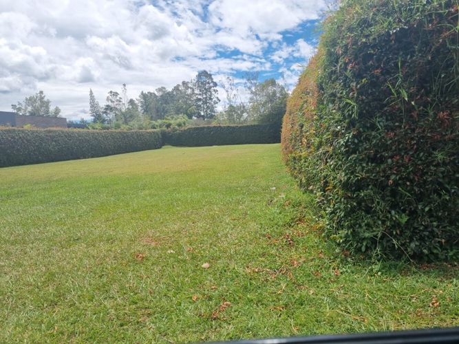Lote en venta en Llano Grande, Rionegro, 1300 m² · foto 2 de 4