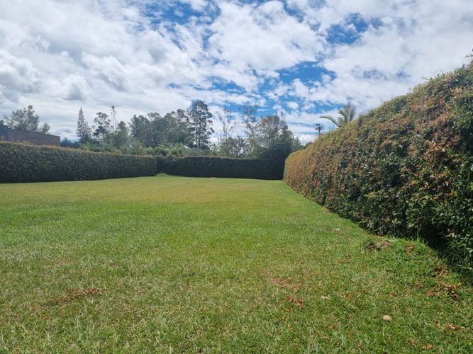 Lote en venta en Llano Grande, Rionegro, 1300 m² · foto 3 de 4