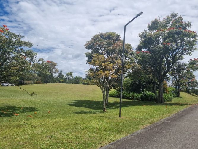 Lote en venta en Llano Grande, Rionegro, 1300 m² · foto 4 de 4
