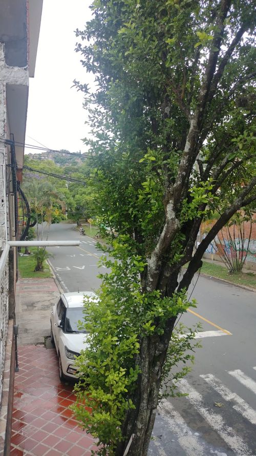 Casa de 5 alcobas en venta en Santa Isabel, Cali, 200 m² · foto 5 de 24