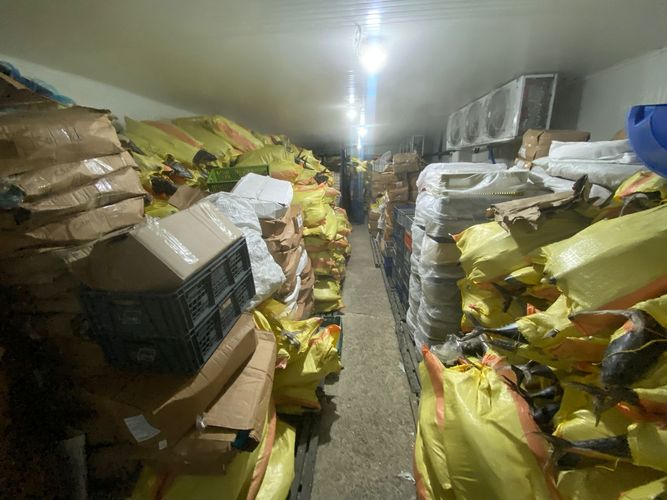 Bodega en venta en Santa Elena, Cali, 350 m² · foto 9 de 12
