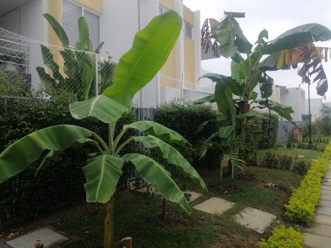 Casa de 3 alcobas en venta en El Castillo, Jamundí, 145 m² · foto 8 de 24