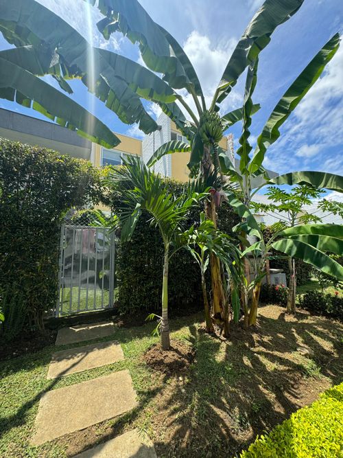 Casa de 3 alcobas en venta en El Castillo, Jamundí, 145 m² · foto 16 de 24