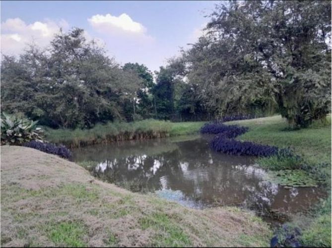 Lote en venta en Las Mercedes, Jamundí, 266 m² · foto 19 de 24
