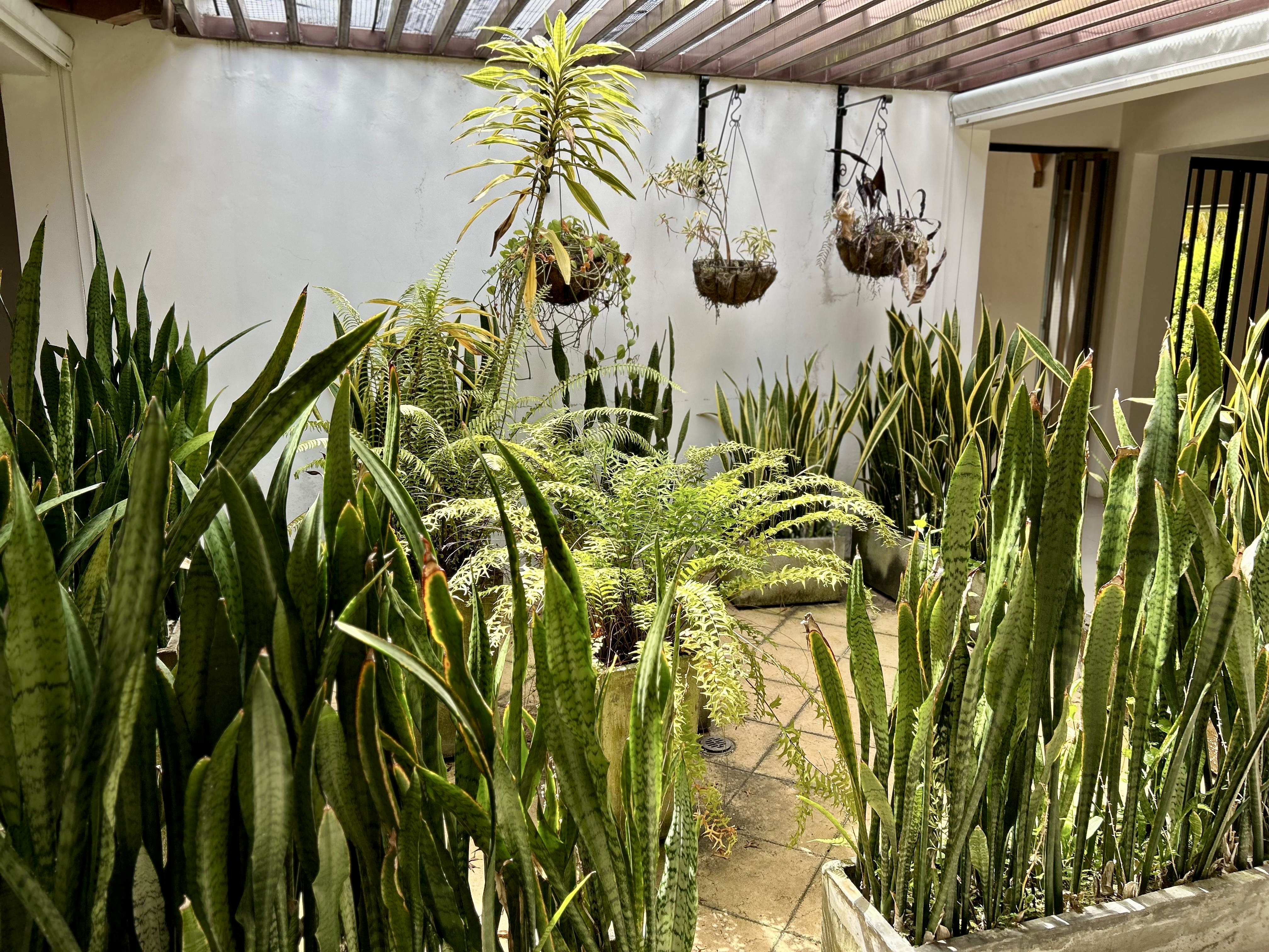 Casa en venta en Cerritos, Pereira · foto 16 de 23