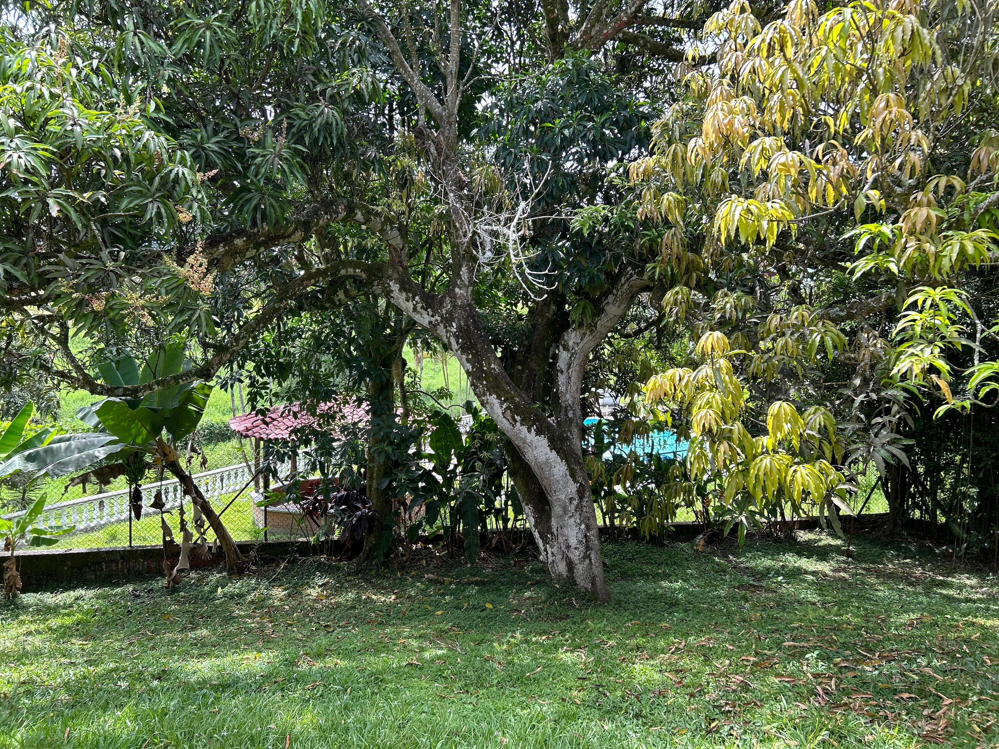 Casa en venta en Cerritos, Pereira · foto 20 de 23