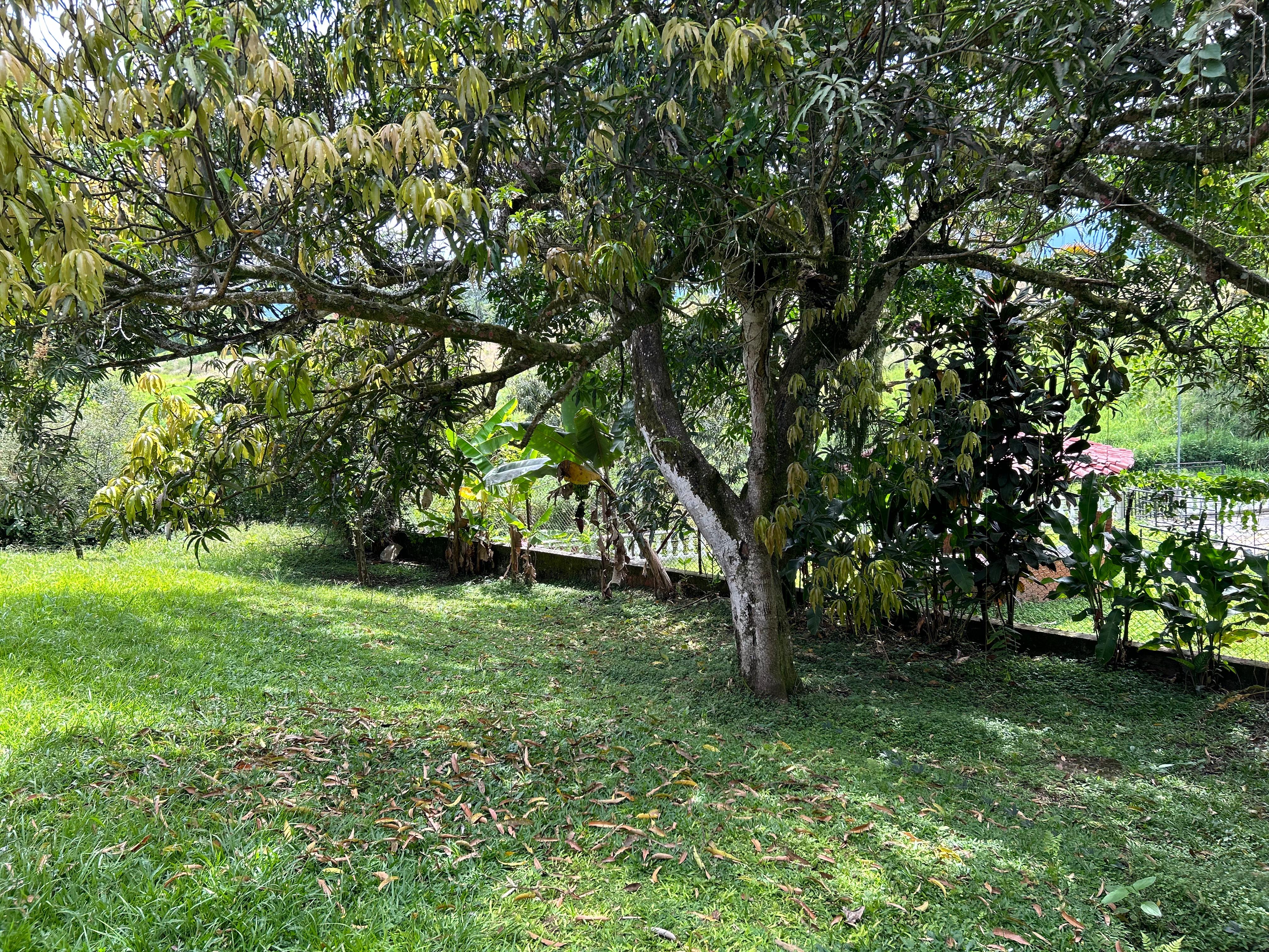 Casa en venta en Cerritos, Pereira · foto 22 de 23