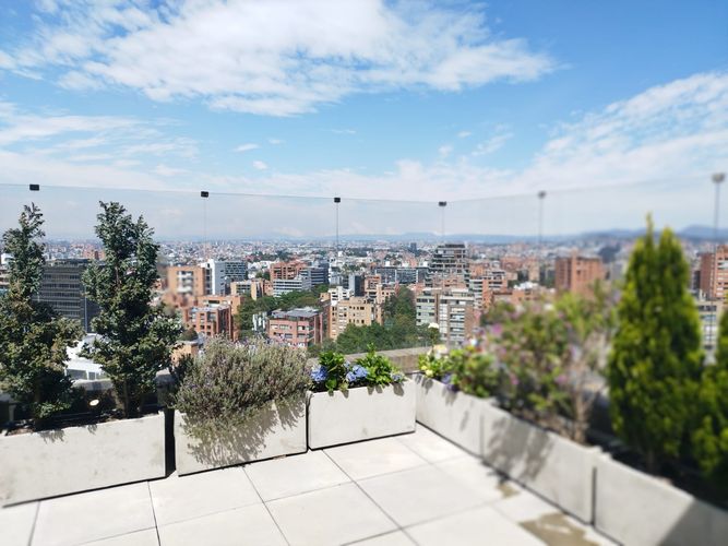 Apartamento de 2 alcobas en venta en Los Rosales, Bogotá, 185 m² · foto 5 de 24