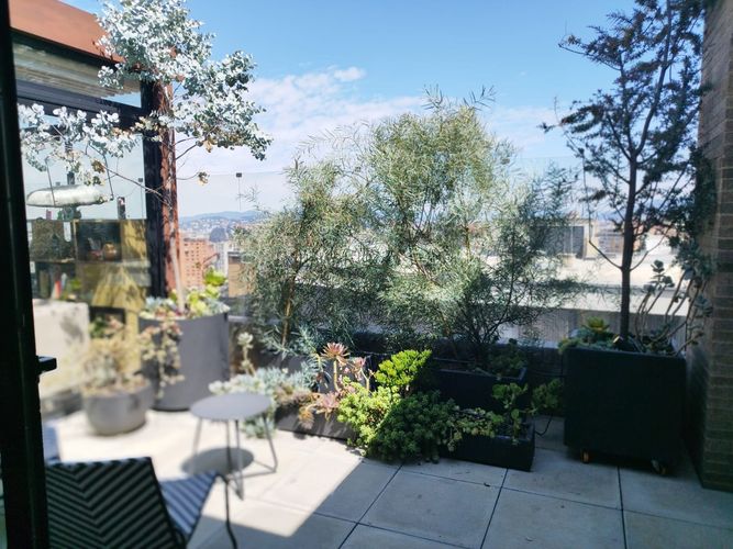 Apartamento de 2 alcobas en venta en Los Rosales, Bogotá, 185 m² · foto 8 de 24
