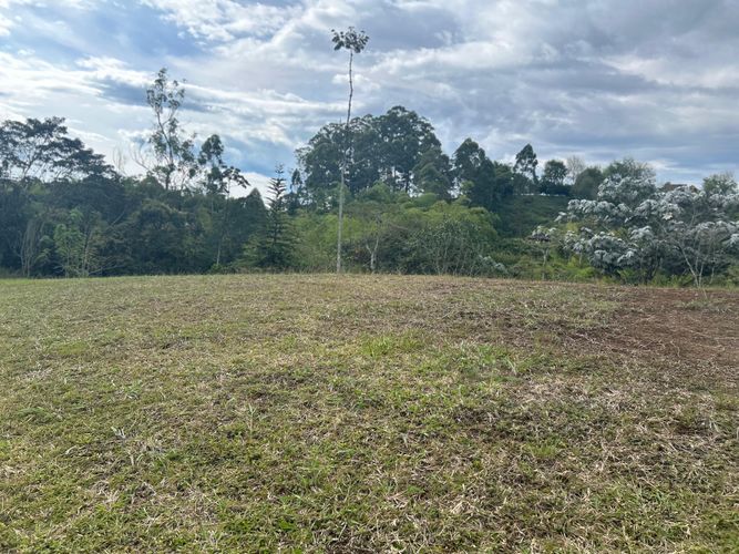 Lote en venta en Condina, Pereira, 2497 m² · foto 5 de 5